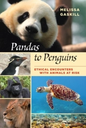 Pandas To Penguins
