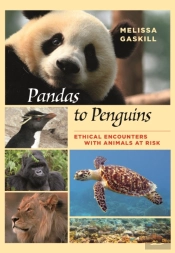 Pandas To Penguins