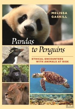 Bertrand.pt - Pandas To Penguins