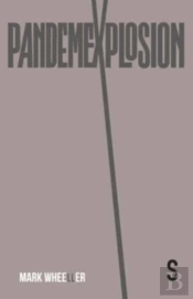 Pandemexplosion