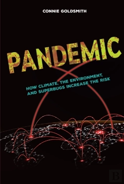Bertrand.pt - Pandemic