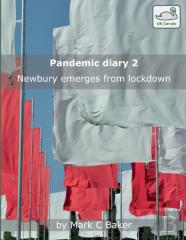 Pandemic Diary 2