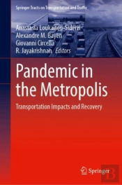 Pandemic In The Metropolis
