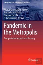 Pandemic In The Metropolis