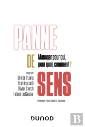 Panne De Sens : Manager Pour Qui, Pour Quoi, Comment ?