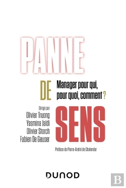 Bertrand.pt - Panne De Sens : Manager Pour Qui, Pour Quoi, Comment ?