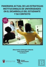 Panorama Actual De Las Estrategias Institucionales De Universidades En El Desarrollo Del Estudiante