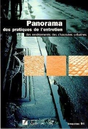 Panorama Des Pratiques De L'Entretien Des Revêtements Des Chaussées Urbaines ; Enquêtes 1994