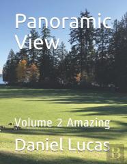 Panoramic View