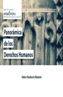 Panoramica De Los Derechos Humanos