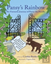 Pansy'S Rainbow