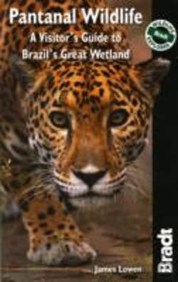 Bertrand.pt - Pantanal Wildlife