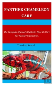 Panther Chameleon Care