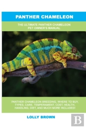 Panther Chameleon