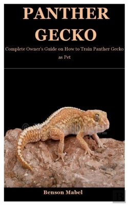 Bertrand.pt - Panther Gecko
