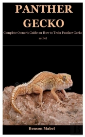 Panther Gecko