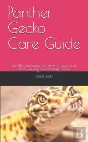 Panther Gecko Care Guide