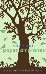 Paper Airplanes