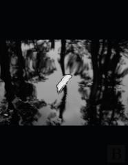 Paper On The Water