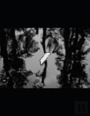 Paper On The Water