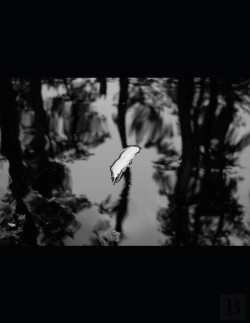 Bertrand.pt - Paper On The Water