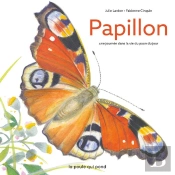 Papillon : Une Journée Dans La Vie Du Paon Du Jour