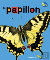 Papillon
