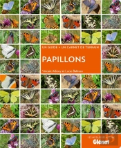 Papillons