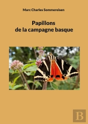 Papillons De Campagne Basque