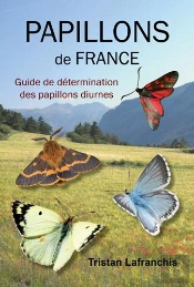 Papillons De France ; Guide De Détermination Des Papillons Diurnes