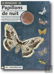 Papillons De Nuit