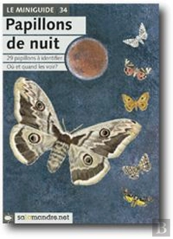 Bertrand.pt - Papillons De Nuit