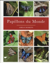 Papillons Du Monde