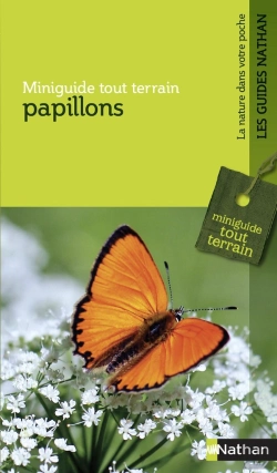 Bertrand.pt - Papillons