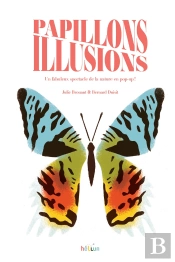 Papillons Illusions