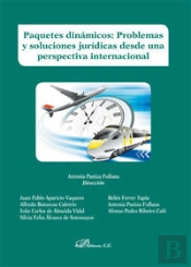 Paquetes Dinámicos. Problemas Y Soluciones Jurídicas Desde Una Perspectiva Internacional