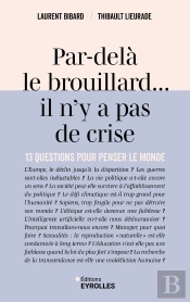 Par-Delà Le Brouillard... Il N'Y A Pas De Crise : 13 Questions Pour Penser Le Monde
