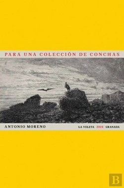 Bertrand.pt - Para Una Coleccion De Conchas