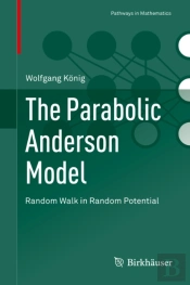 Parabolic Anderson Model