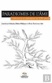 Paradigmes De L'Ame. Litterature Et Alienisme Au Xixe Siecle