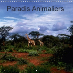 Bertrand.pt - Paradis Animaliers Calendrier Mural 2018 300 300 Mm Square