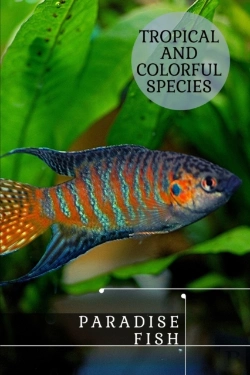 Bertrand.pt - Paradise Fish