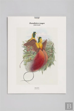 Bertrand.pt - Paradisiers Rouges