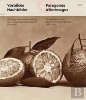 Paragons And Afterimages