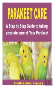 Parakeet Care