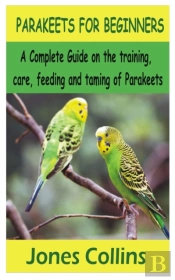 Parakeets For Beginners
