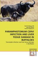 Paramphistomum Cervi Infection And Liver Tissue Damage In Buffaloes