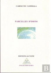 Parcelles D'Infini