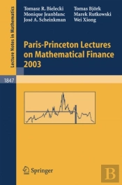 Paris-Princeton Lectures On Mathematical Finance 2003