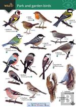 Park And Garden Birds